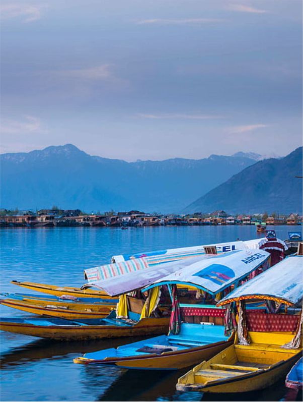 Kashmir